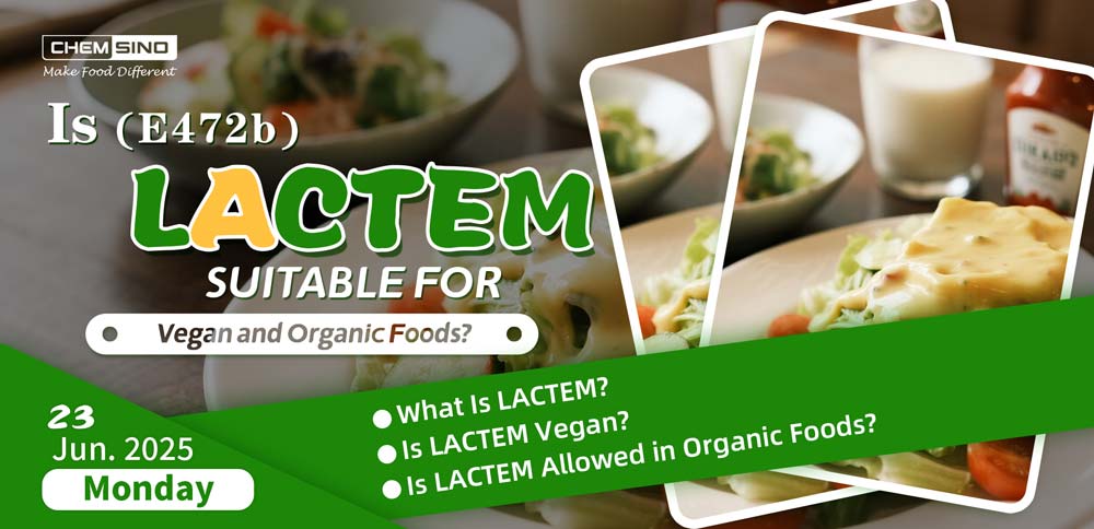 Is LACTEM (E472b) Suitable for Vegan and Organic Foods